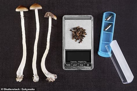 The magic of psilocybin: Understanding the chemical compound behind magic mushrooms